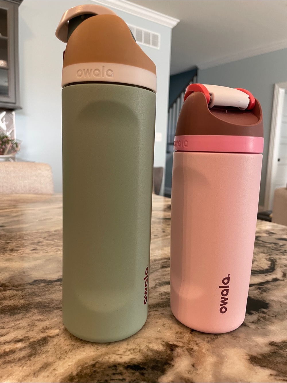 Owala Duo Insulated Bottles - Sage Green & Dusty Pink
